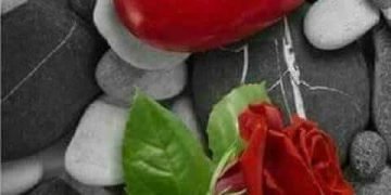 سلمت.. بقلم /صفاء مسعود