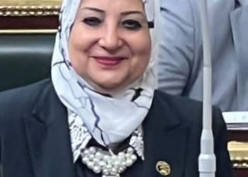 د نسرين صلاح عمر تكتب : الفرصة