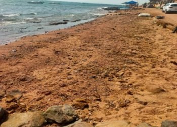 وزيرة البيئة: انتهاء أعمال مكافحة التلوث الزيتى بعدد من شواطئ مدينة دهب