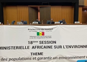 وزيرة البيئة: مبادرات عالمية لدعم افريقيا للتكيف مع تغير المناخ