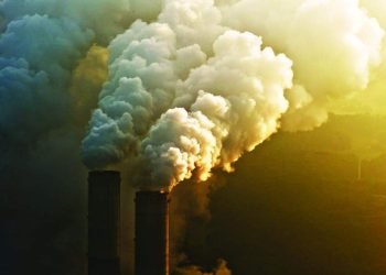 العالم يسير في «الاتجاه الخاطئ»