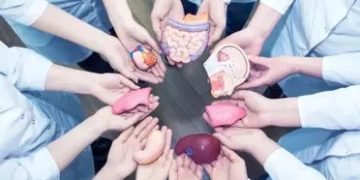 التبرع بالأعضاء بعد الوفاة بين رأى الدين ونظرة المجتمع