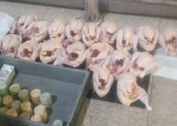 ضبط مبالغ مالية في الدجاج