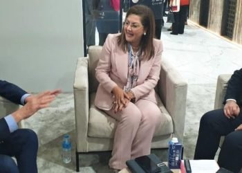 د. هالة السعيد: أهمية الاستفادة من البرامج التمويلية للمؤسسة الإسلامية للمساهمة فى توطين عدد من الصناعات فى مصر