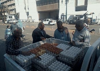 “الزراعة” تطرح كميات من بيض المائدة باسعار مخفضة عبر منافذها بالمحافظات المختلفة