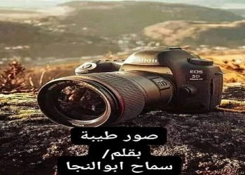 صور طيبة .. بقلم / سماح ابوالنجا