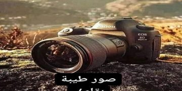 صور طيبة .. بقلم / سماح ابوالنجا