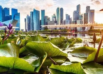 سنغافورة أجمل بلدان العالم بين نظافة البيئة ونظافة اليد