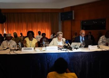 وزيرة البيئة تشيد بالتمثيل الأفريقي المميز في مؤتمر المناخ COP27 على المستويين الرسمي وغير الرسمي