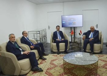 الوزير شكري رئيس مؤتمر COP27 يستقبل وزير البيئة التركي
