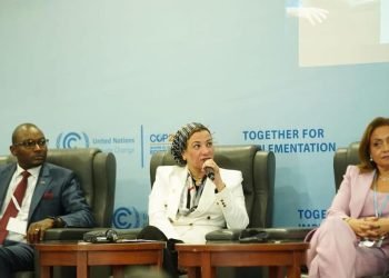 د. ياسمين فؤاد: يجب أن يكون لدينا مزيج طاقة مستدام يضمن أمن الطاقة