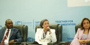 د. ياسمين فؤاد: يجب أن يكون لدينا مزيج طاقة مستدام يضمن أمن الطاقة