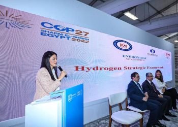 المشاط: نعمل على تعزيز العلاقات مع شركاء التنمية لإتاحة مزيد من آليات التمويل المبتكر للقطاع الخاص