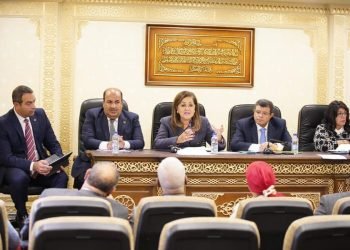 د. هالة السعيد: الصندوق السيادي ذراع استثماري للدولة يتفق مع التوجهات والخطط التنموية