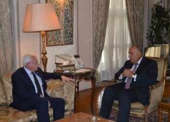 سامح شكري يستقبل نظيره الفلسطيني رياض المالكي