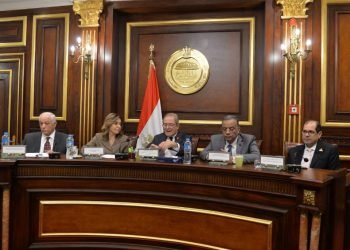 نيفين الكيلاني: يقع على عاتق وزارة الثقافة بناء الإنسان المصري فكريا ودعمه فنيا والعمل على تحقيق العدالة الثقافية