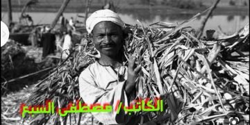 هذا هو بطل الحكاية (الشقيان يكسب)