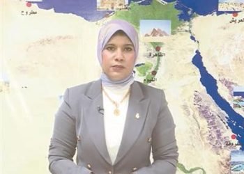 الأرصاد تحذر من سقوط الأشجار والأعمدة ونزول الثلج