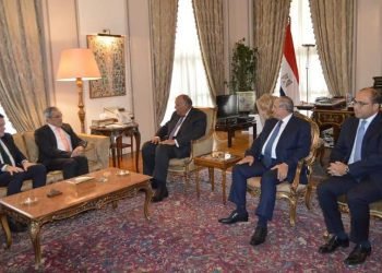 وزير الخارجية يستقبل وفداً من البرلمان الأوروبي