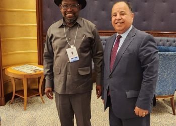 د. معيط: لابد من تضافر الجهود الأفريقية لمواجهة الأزمة الاقتصادية العالمية الراهنة