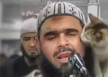 ” نفحة إيمانية فى تراويح رمضانية ” بين القطة والإمام