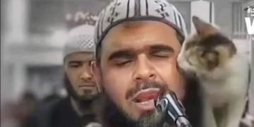 ” نفحة إيمانية فى تراويح رمضانية ” بين القطة والإمام