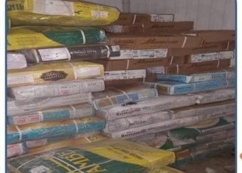 محافظة الجيزة تزامنا مع الاحتفالات بأعياد شم النسيم