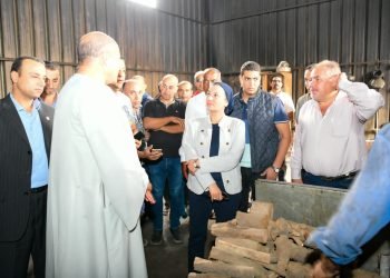 وزيرة البيئة فى زيارة ميدانية لمحافظة الشرقية لمتابعة سير منظومة مواجهة نوبات تلوث الهواء الحادة