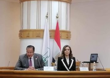 وزيرة الثقافة تدعو اللجان لإقامة سلسلة فعاليات ثقافية للتضامن مع القضية الفلسطينية