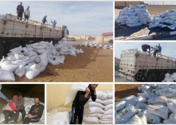 القصير: الدولة المصرية وضعت شبه جزيرة سيناء على خارطة التنمية الشاملة