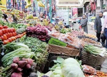 ” غلاء الأسعار ومعاناة المواطن ”  من وجه نظر الشعر والشعراء