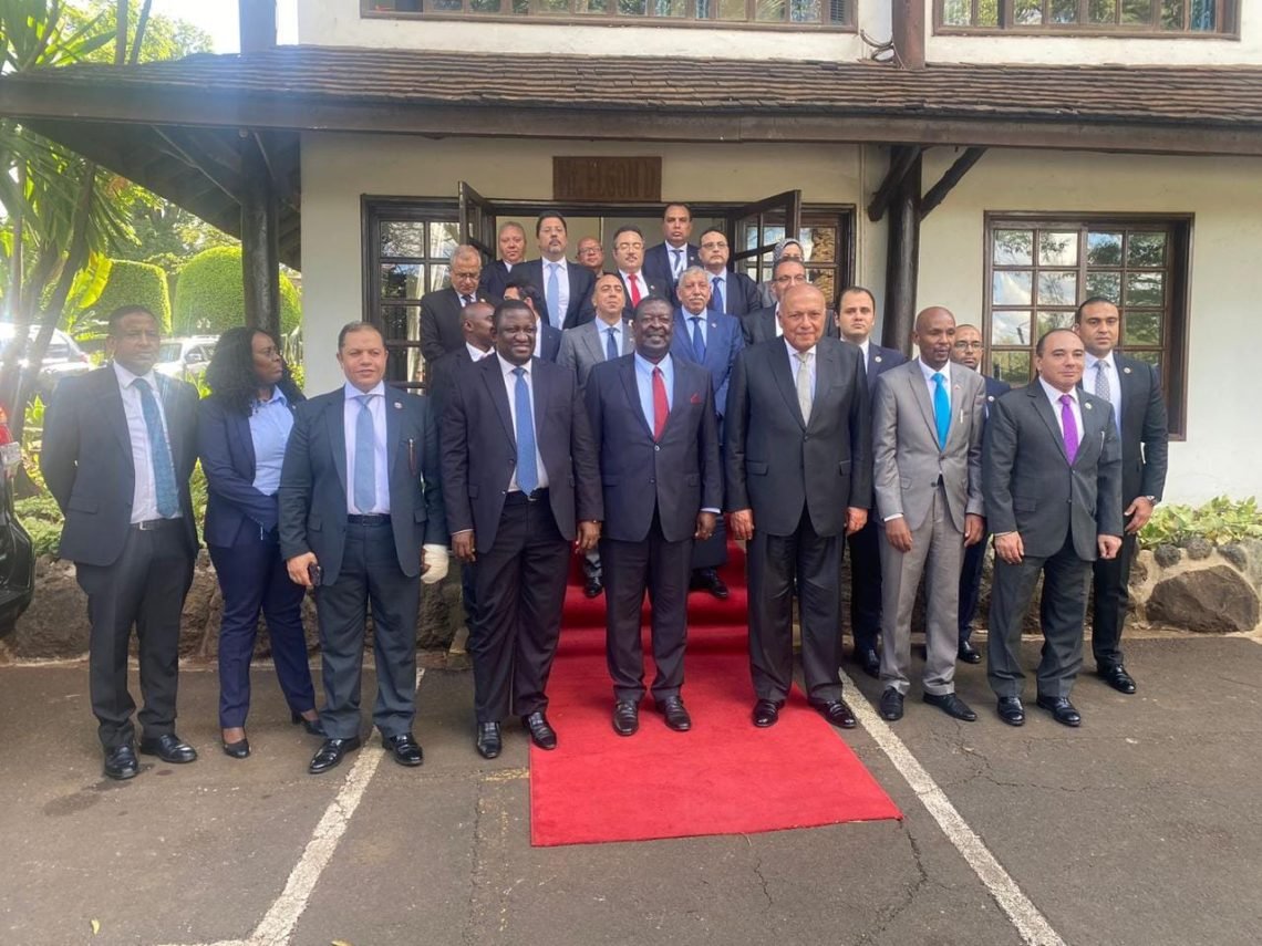 ‏‎وزير الخارجية يترأس وفد مصر في أعمال اللجنة المشتركة المصرية الكينية