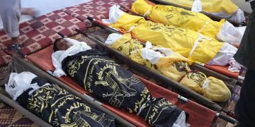 هشام صلاح يكتب : ” غزة الكاشفة ”  تسقط الأقنعة وتكشف السرائر