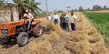“الزراعة” تعلن بدء موسم حصاد وتوريد القمح.. و”القصير” يوجه بالتيسير على المزارعين