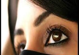 الشعراء ولغة العيون