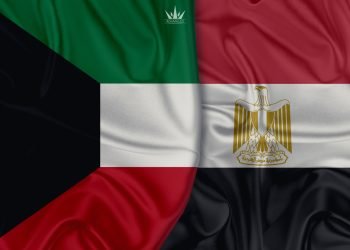 هشام صلاح يكتب : الكويت :  رابطة أبناء أسيوط للتكافل الاجتماعى  تنظم البطولة السادسة لأبناء الجالية