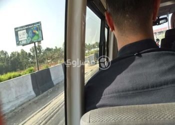 ” بلادى عبر النافذة ‘‘  ..بقلم . هشام صلاح