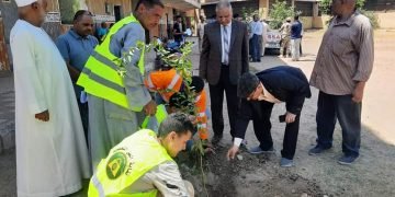 فرعية المعلمين بملوي تشارك بمبادرة ” مبادرة اتحضر للأخضر    “