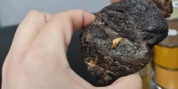 احذر أكل اللحمة عند ظهور هذه العلامات ” فهى لحم حمير “