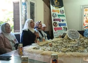 برلمانية تنسق ندوات تثقيفية للمقبلات على الزواج من كريمات النسب بالدقهلية