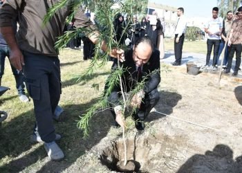 انطلاق حملة تشجير واسعة في جامعة الفرات الأوسط التقنية ضمن مبادرة رئيس الوزراء لزراعة 5 ملايين شجرة