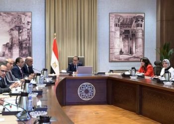 رئيس الوزراء يستعرض مع وزير الكهرباء موقف مشروعات الطاقة الجديدة والمتجددة طبقاً لرؤية 2040