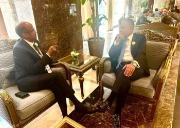 وزير الخارجية يبحث مع نظيره الجيبوتي تعزيز التعاون الثنائي