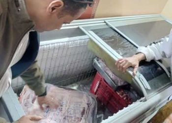 محافظة الجيزة  حملات تفتيشية تضبط ١٠.٦ طن مصنعات ومقطعات لحوم و دواجن غير صالحة للاستهلاك الآدمي   