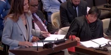 مصر تترافع أمام محكمة العدل الدولية لطلب رأي المحكمة الاستشاري بشأن التزامات إسرائيل كقوة قائمة بالاحتلال في الأراضي الفلسطينية المحتلة