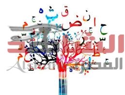 قصيدة لغة الجمال والجلال  نظم ” نورهان إسماعيل الحاوى “