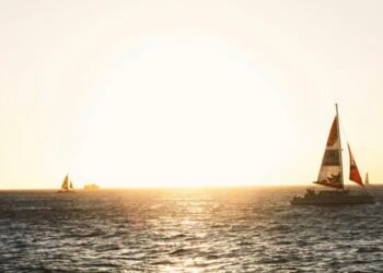 من الصدقة إلى التنمية: رحلة العطاء من القلب إلى العقل