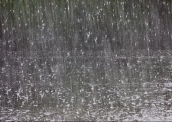 بعد حالة التخبط مجلس الوزراء يتدخل