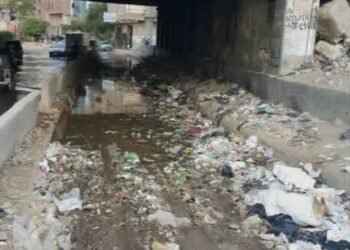 قادرون.. لكنهم فاشلون بامتياز
