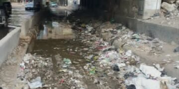 قادرون.. لكنهم فاشلون بامتياز